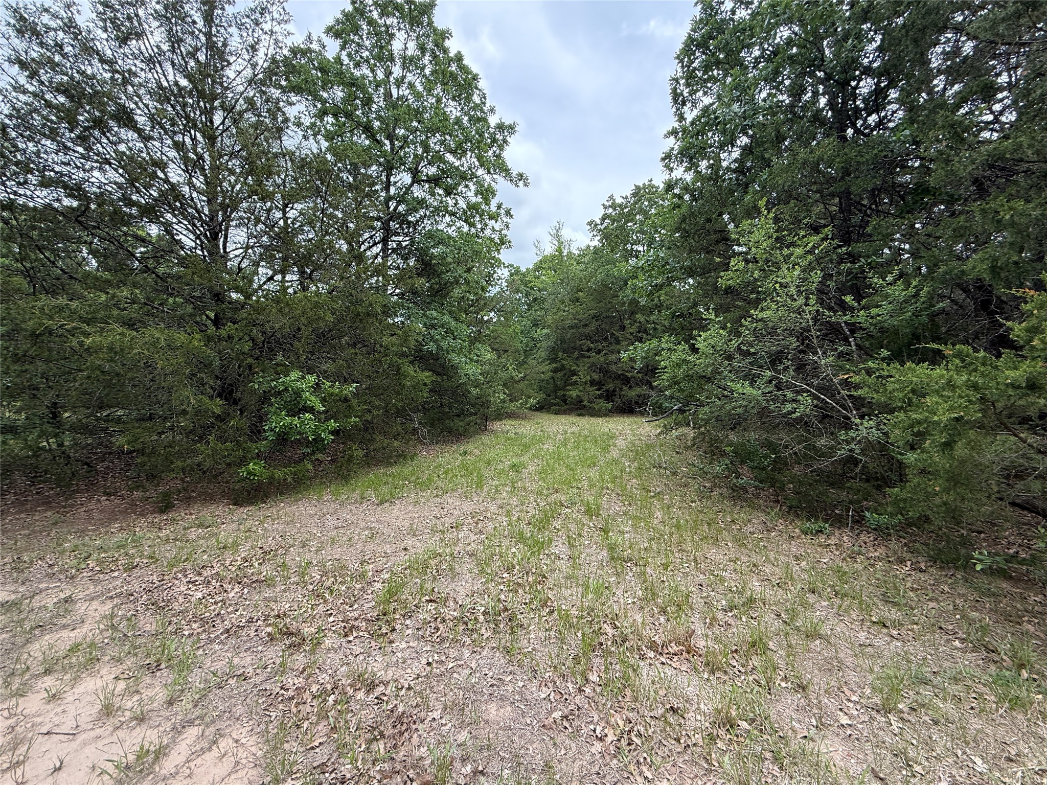 Tbd 27 Acres Fm 642 Purdon TX 76679