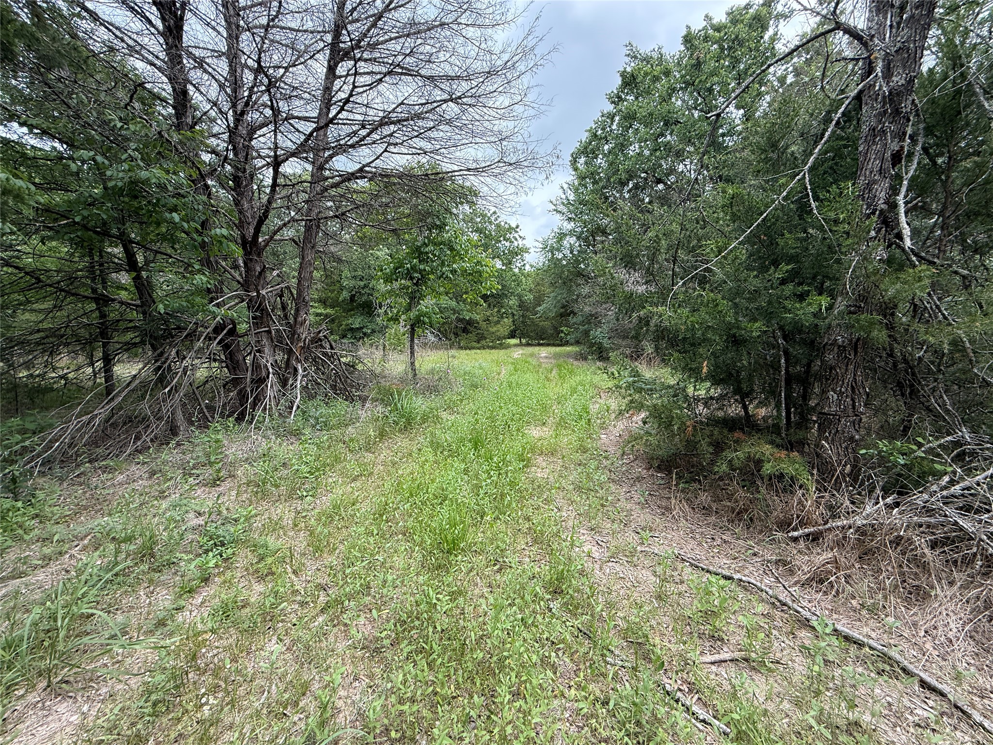 Tbd 27 Acres Fm 642 Purdon TX 76679