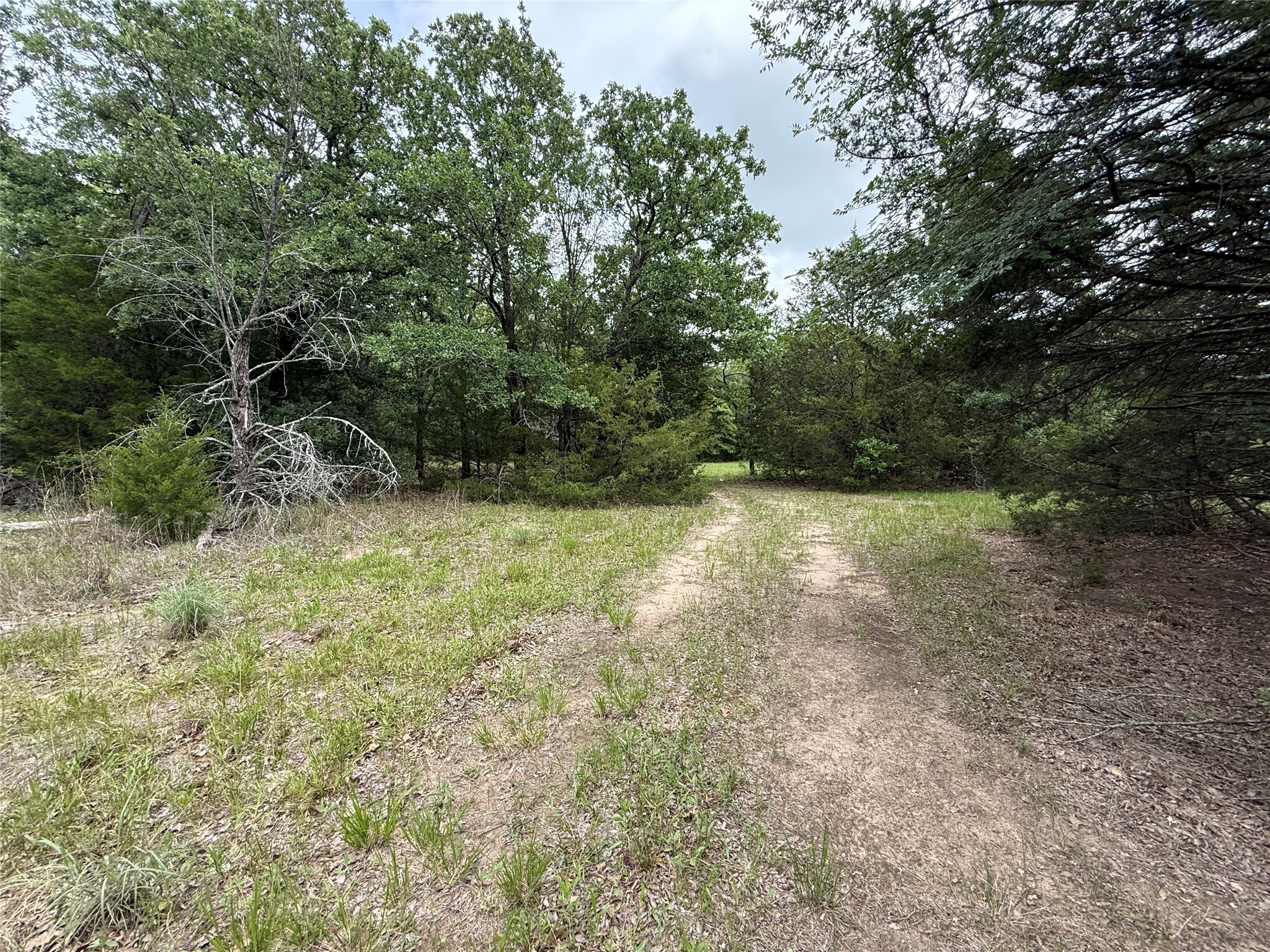 Tbd 27 Acres Fm 642 Purdon TX 76679