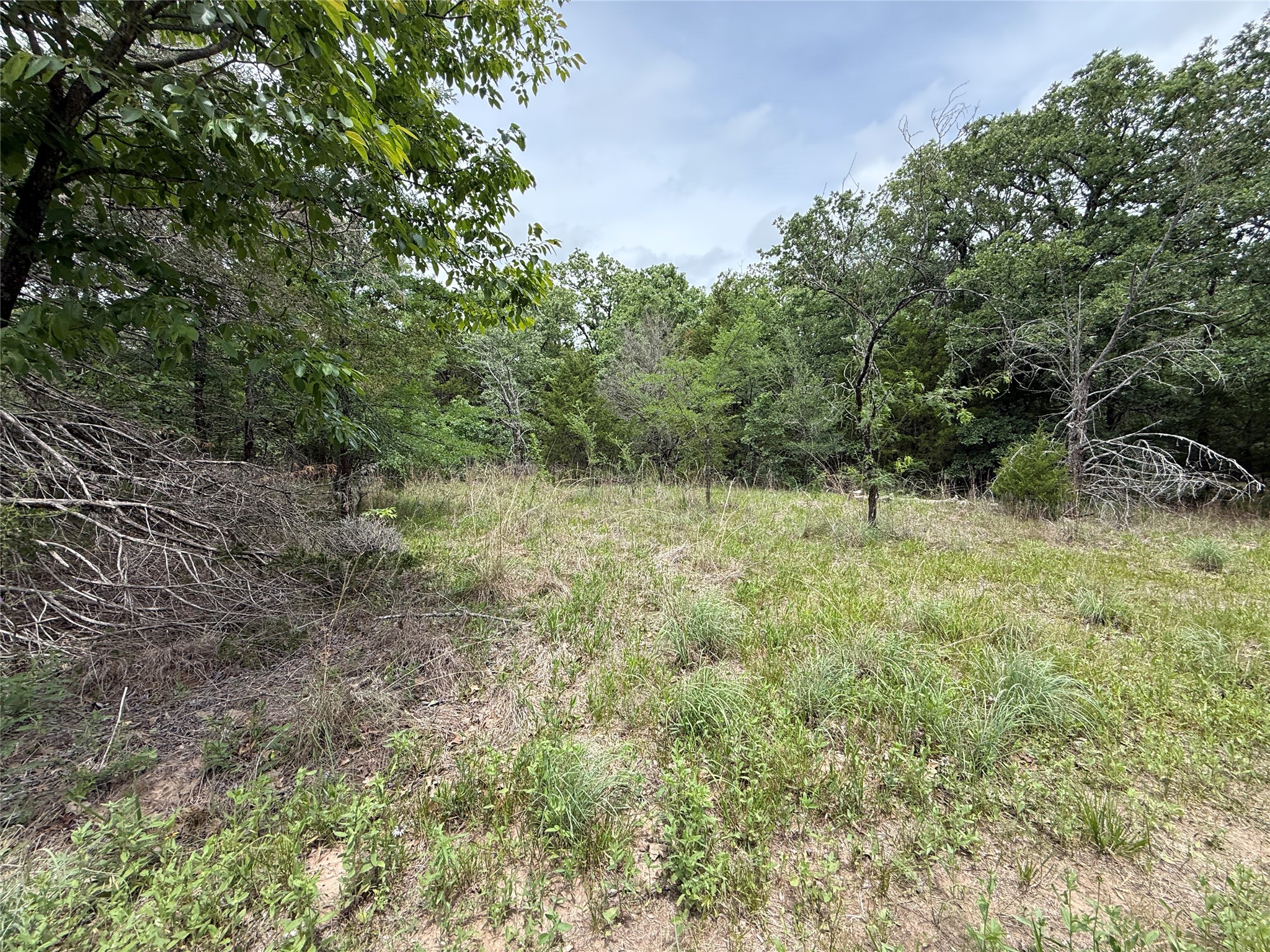 Tbd 27 Acres Fm 642 Purdon TX 76679