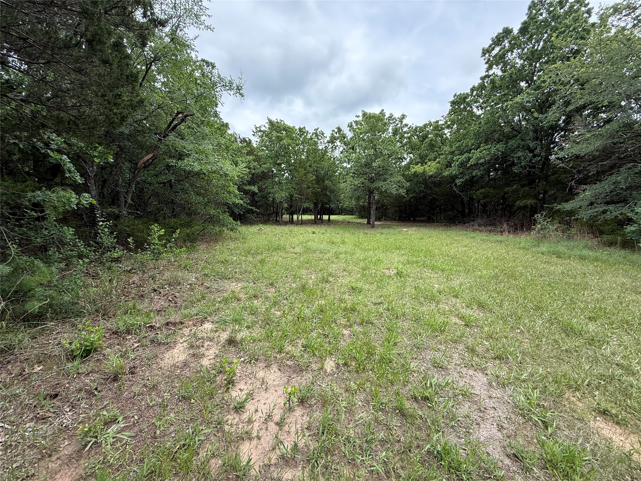 Tbd 27 Acres Fm 642 Purdon TX 76679