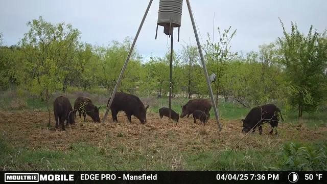0000 Fm-661 Midlothian TX 76065