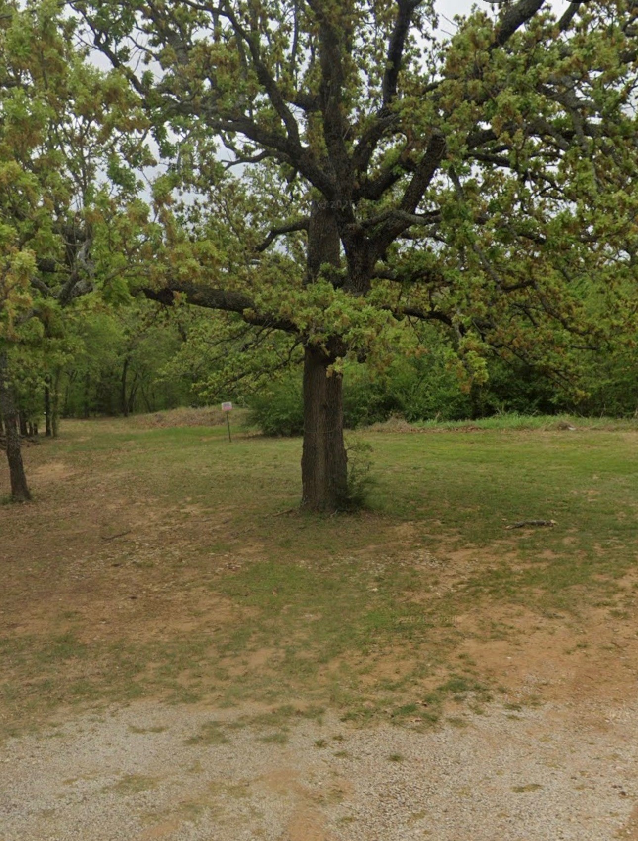 551 Horseshoe Trail Oak Point TX 75068