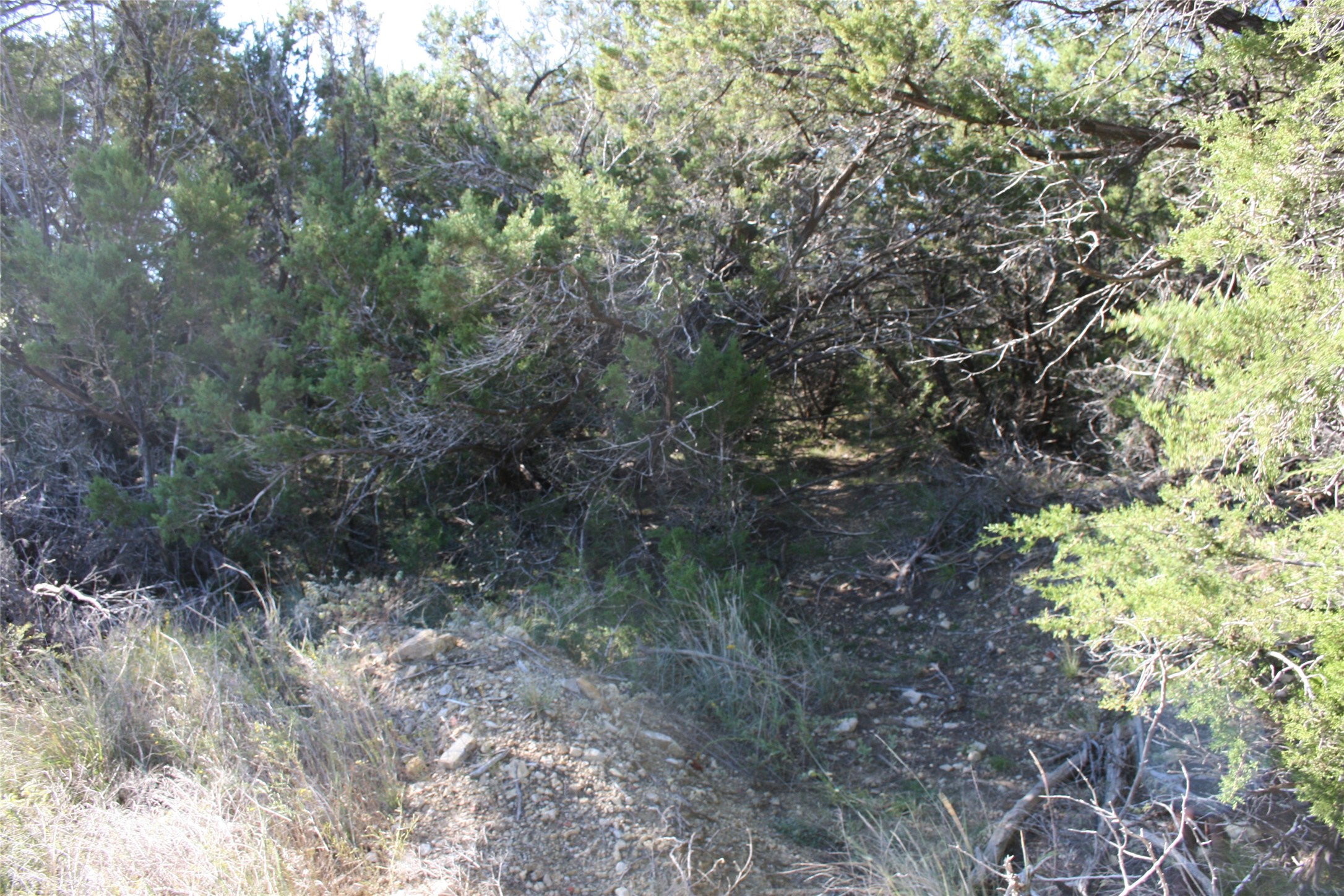 000 Upper Brad Strawn TX 76475