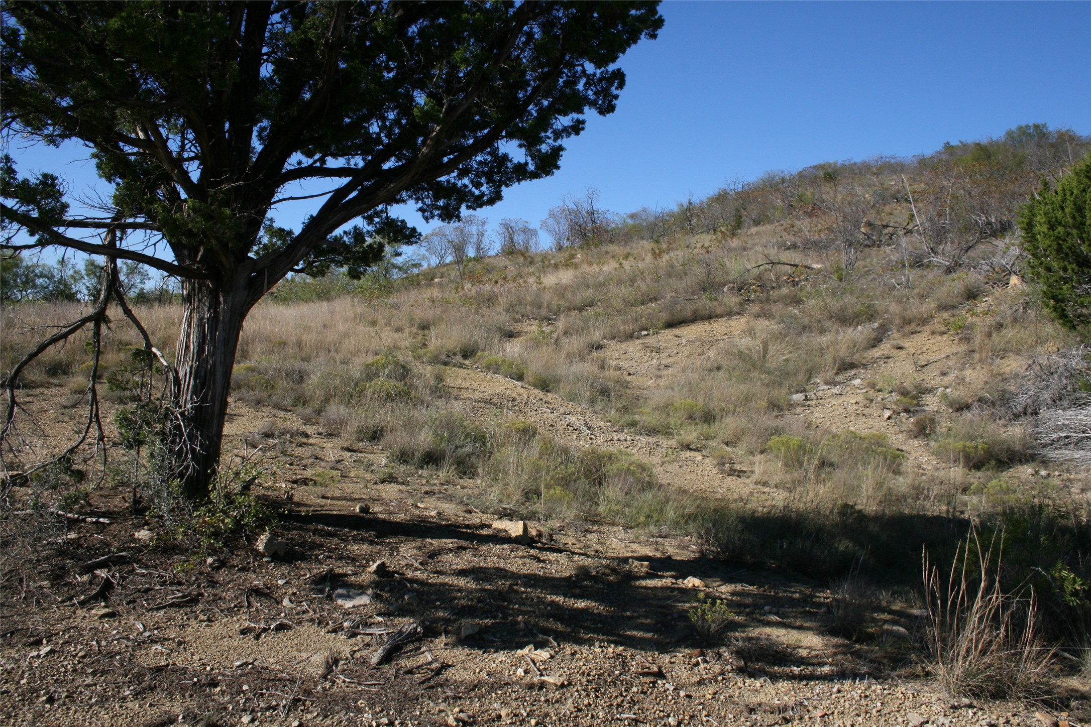 000 Upper Brad Strawn TX 76475