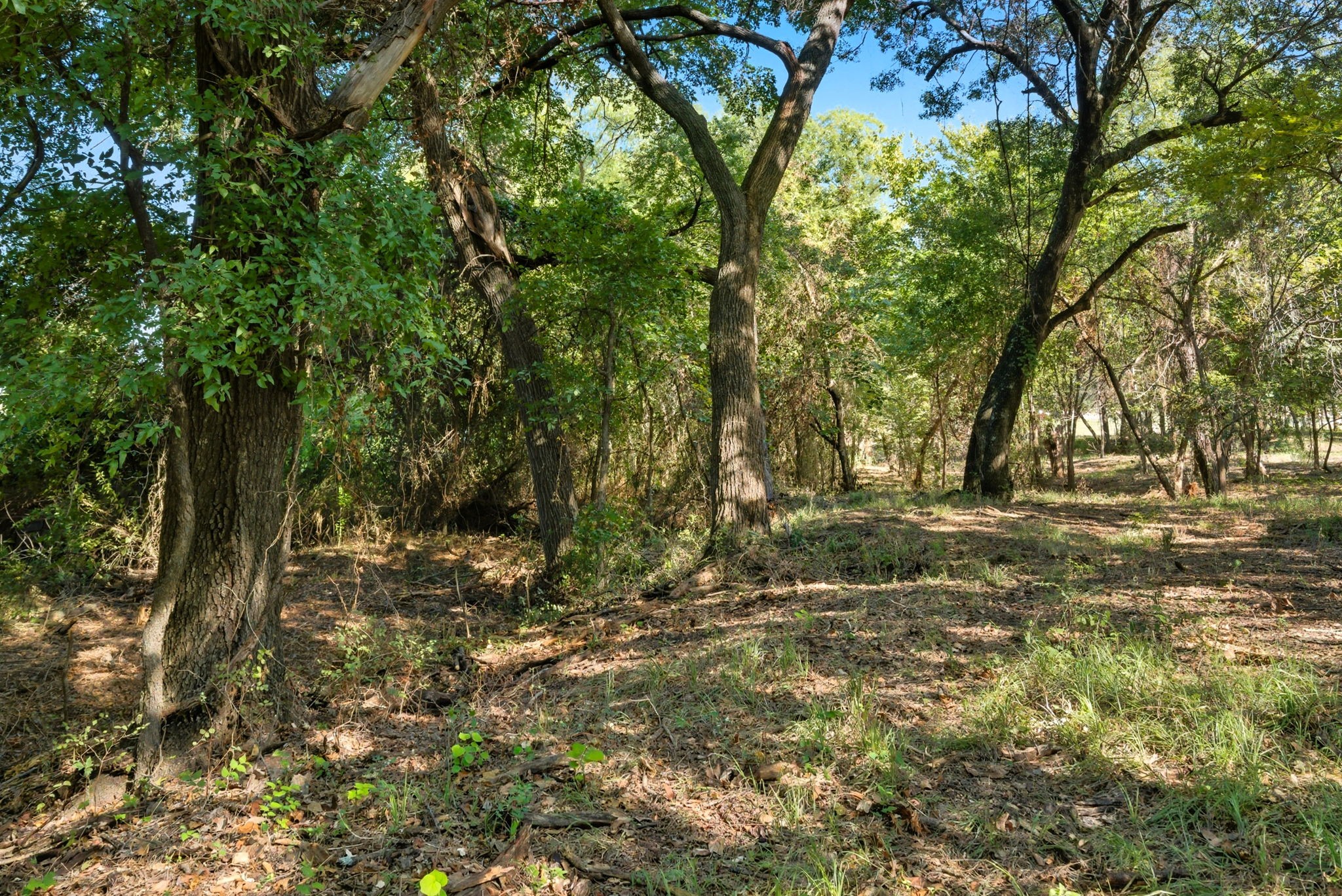 Tbd Candis Court Springtown TX 76082