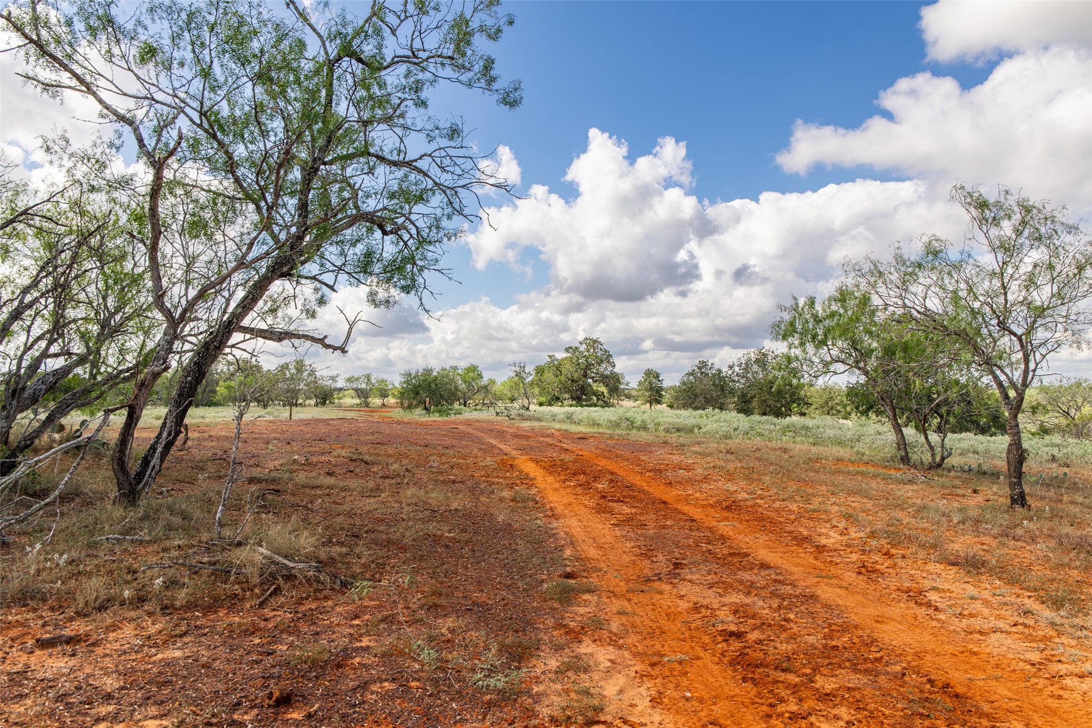 Tbd County Road 155 Nixon TX 78125