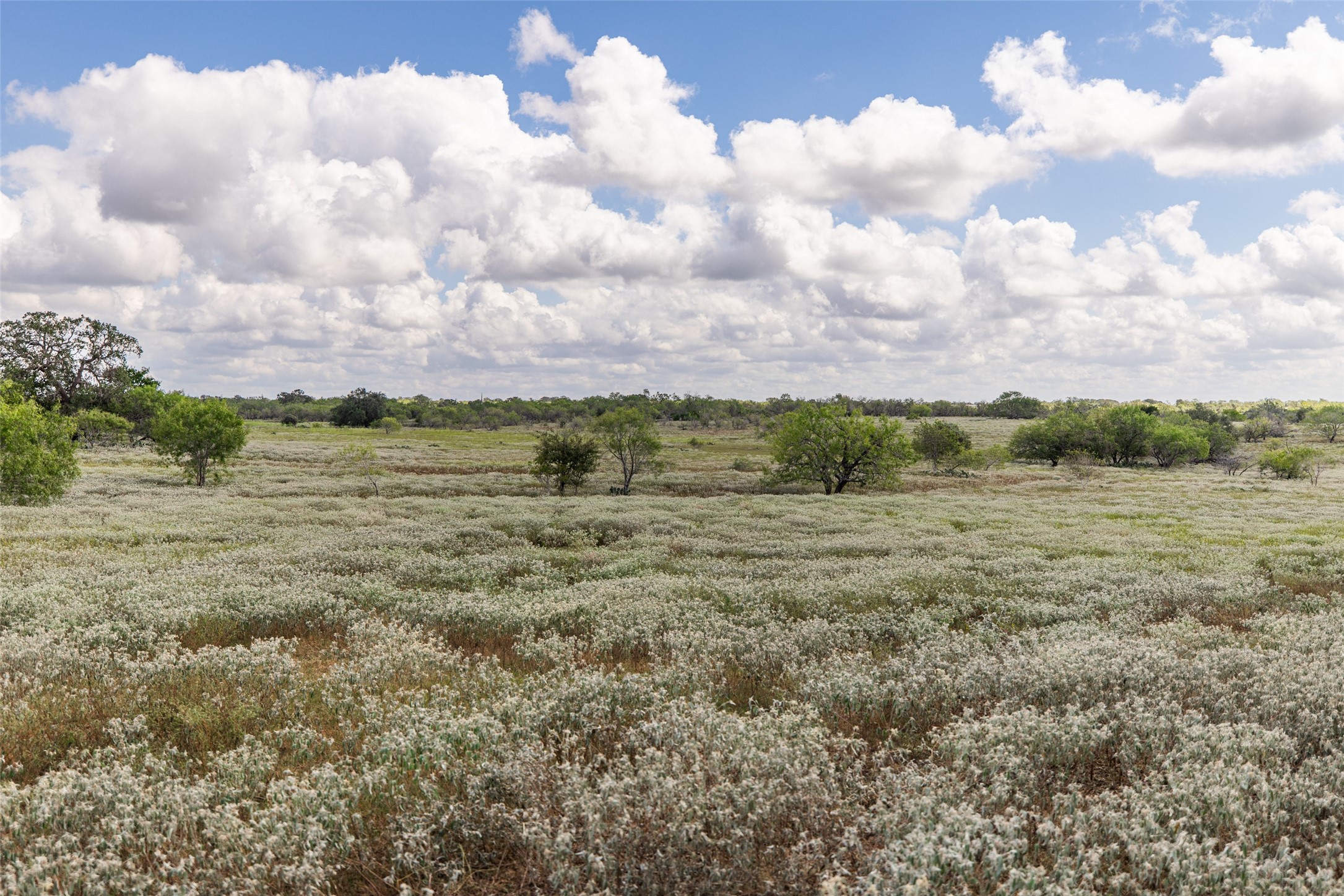 Tbd County Road 155 Nixon TX 78125