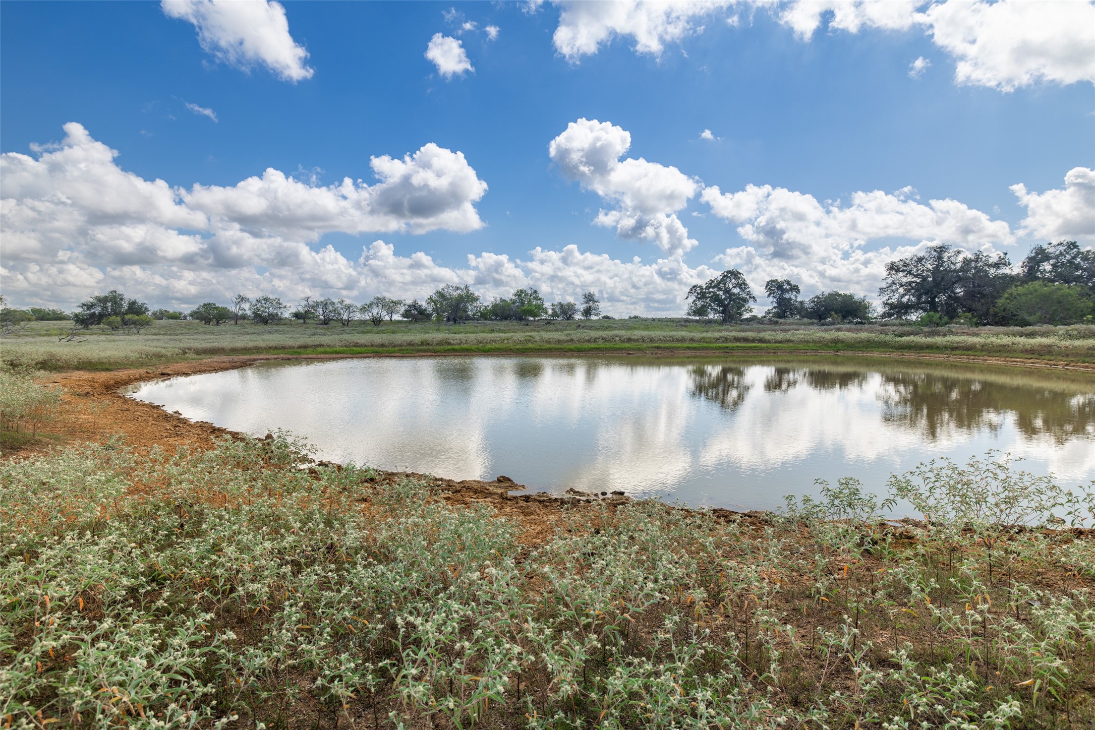 Tbd County Road 155 Nixon TX 78125
