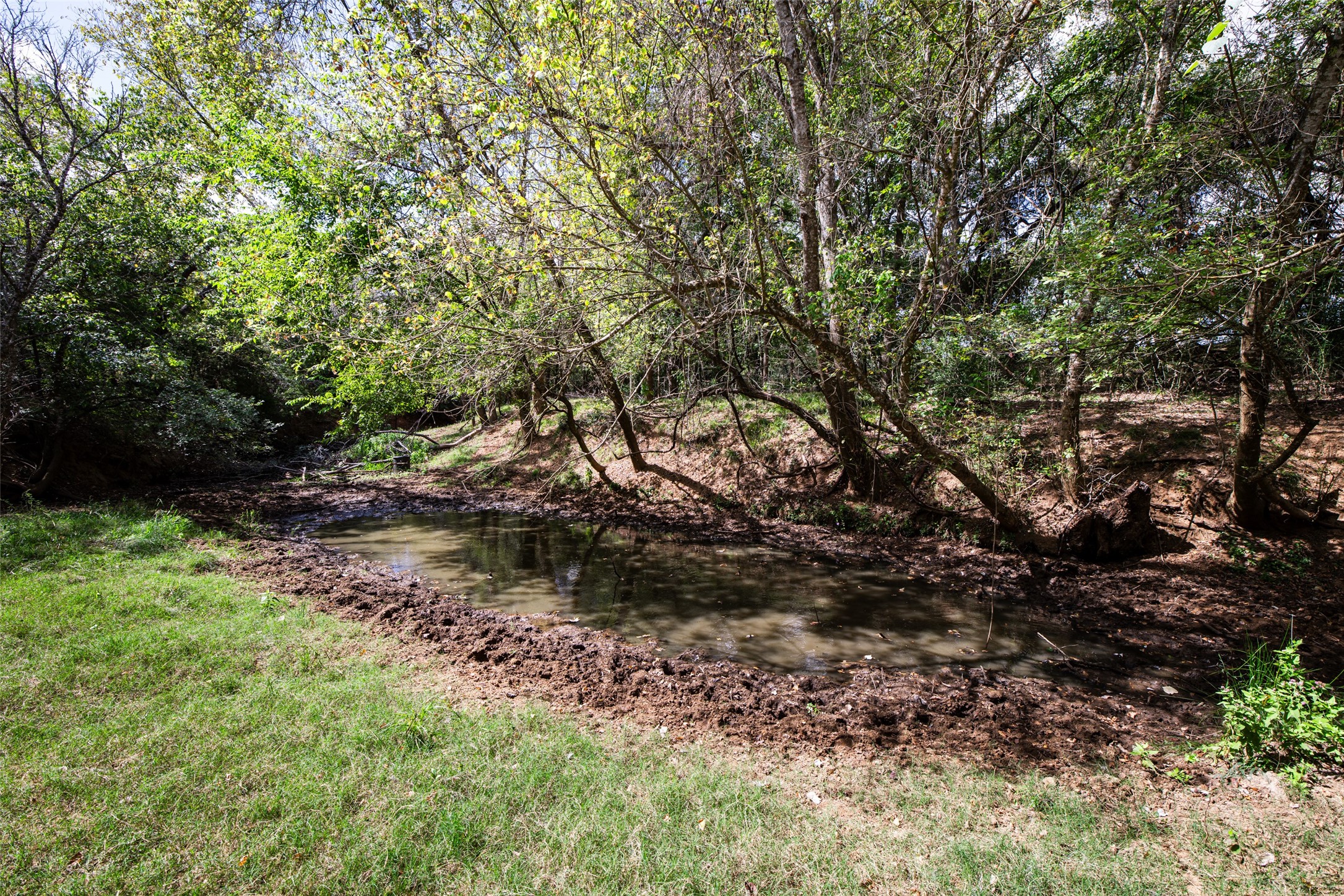 Tbd County Road 155 Nixon TX 78125