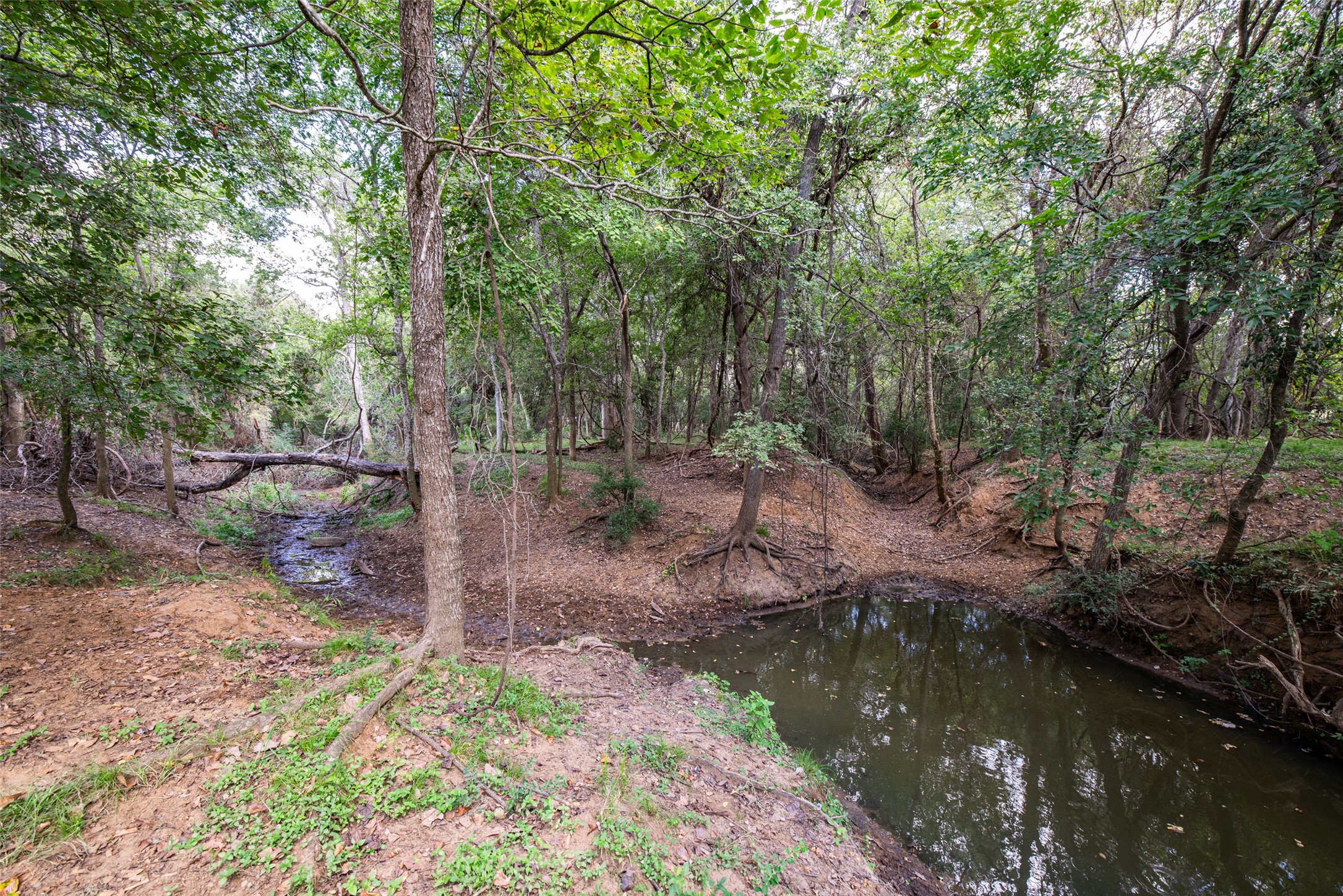 Tbd County Road 155 Nixon TX 78125