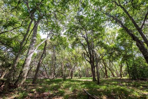 Tbd County Road 155 Nixon TX 78125
