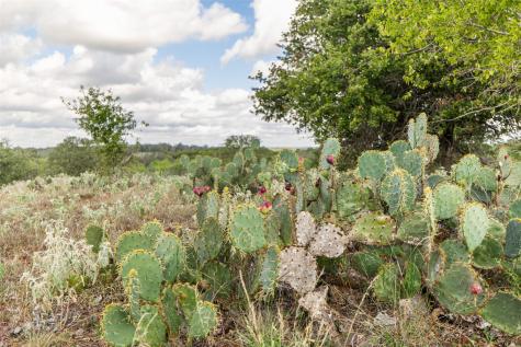 Tbd County Road 155 Nixon TX 78125