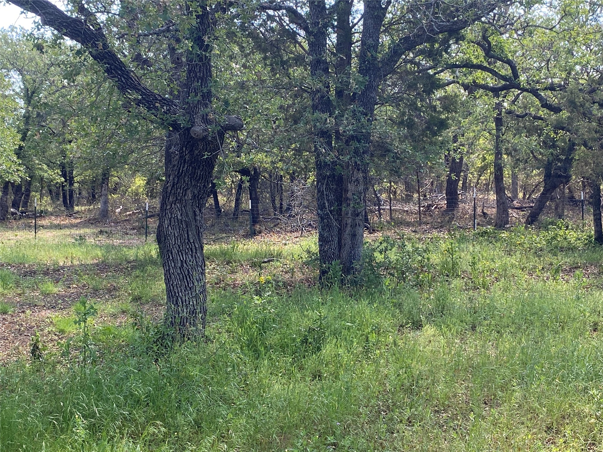17978 County Road 445 Cross Plains TX 76443