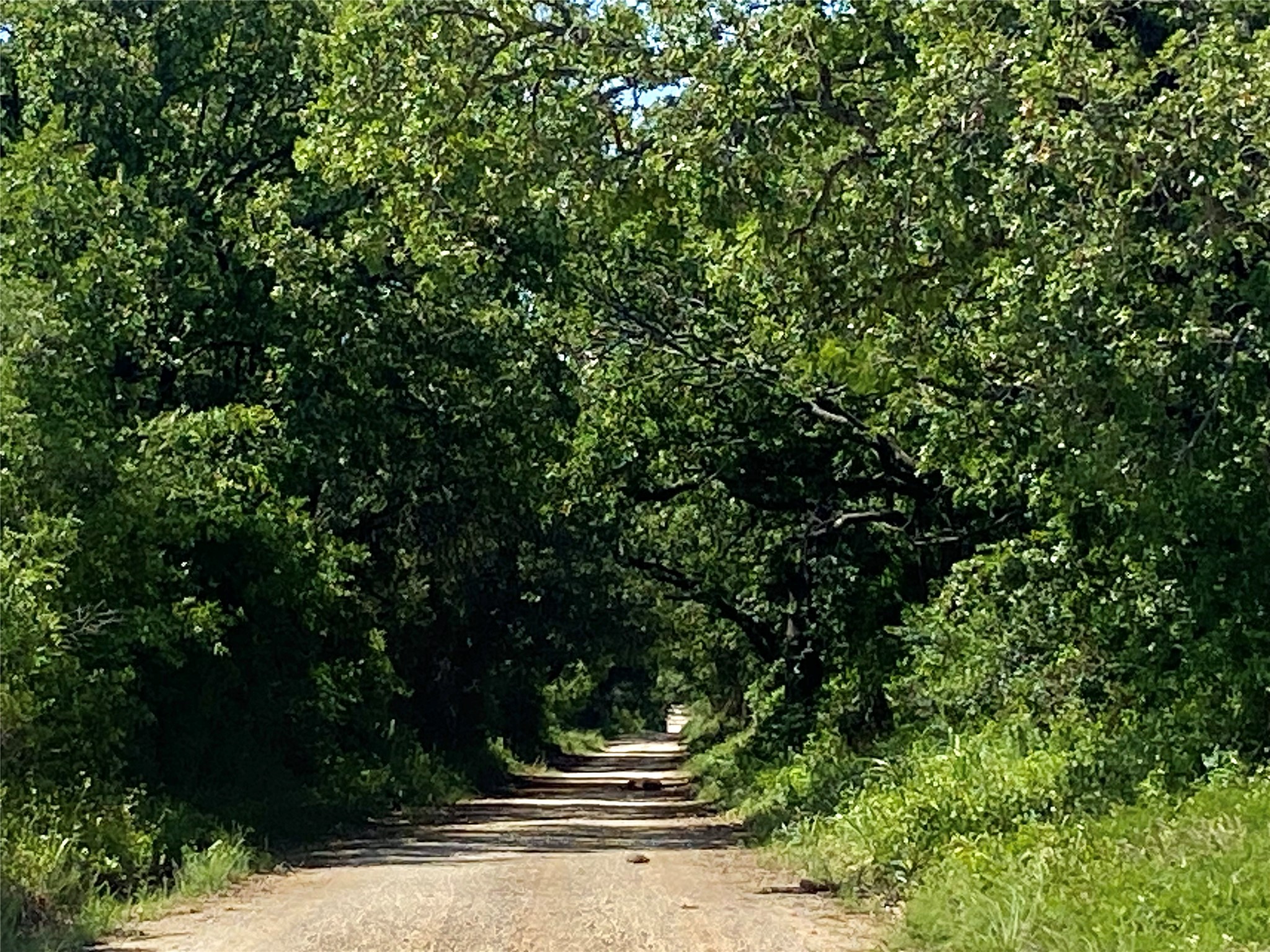 17978 County Road 445 Cross Plains TX 76443