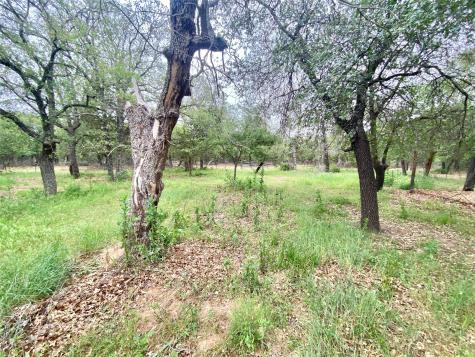 17978 County Road 445 Cross Plains TX 76443