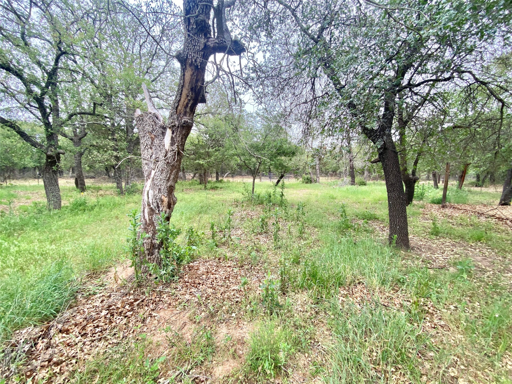 17978 County Road 445 Cross Plains TX 76443