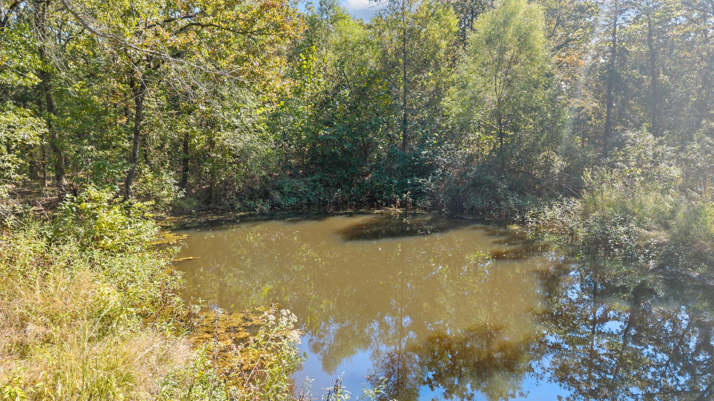 2022 Vz County Road 1514 Grand Saline TX 75140