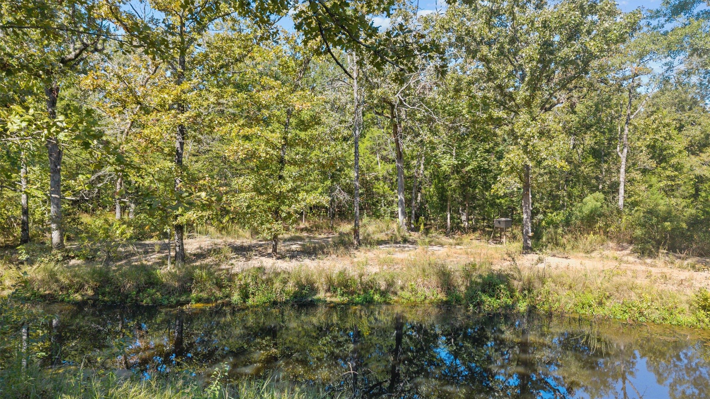 2022 Vz County Road 1514 Grand Saline TX 75140