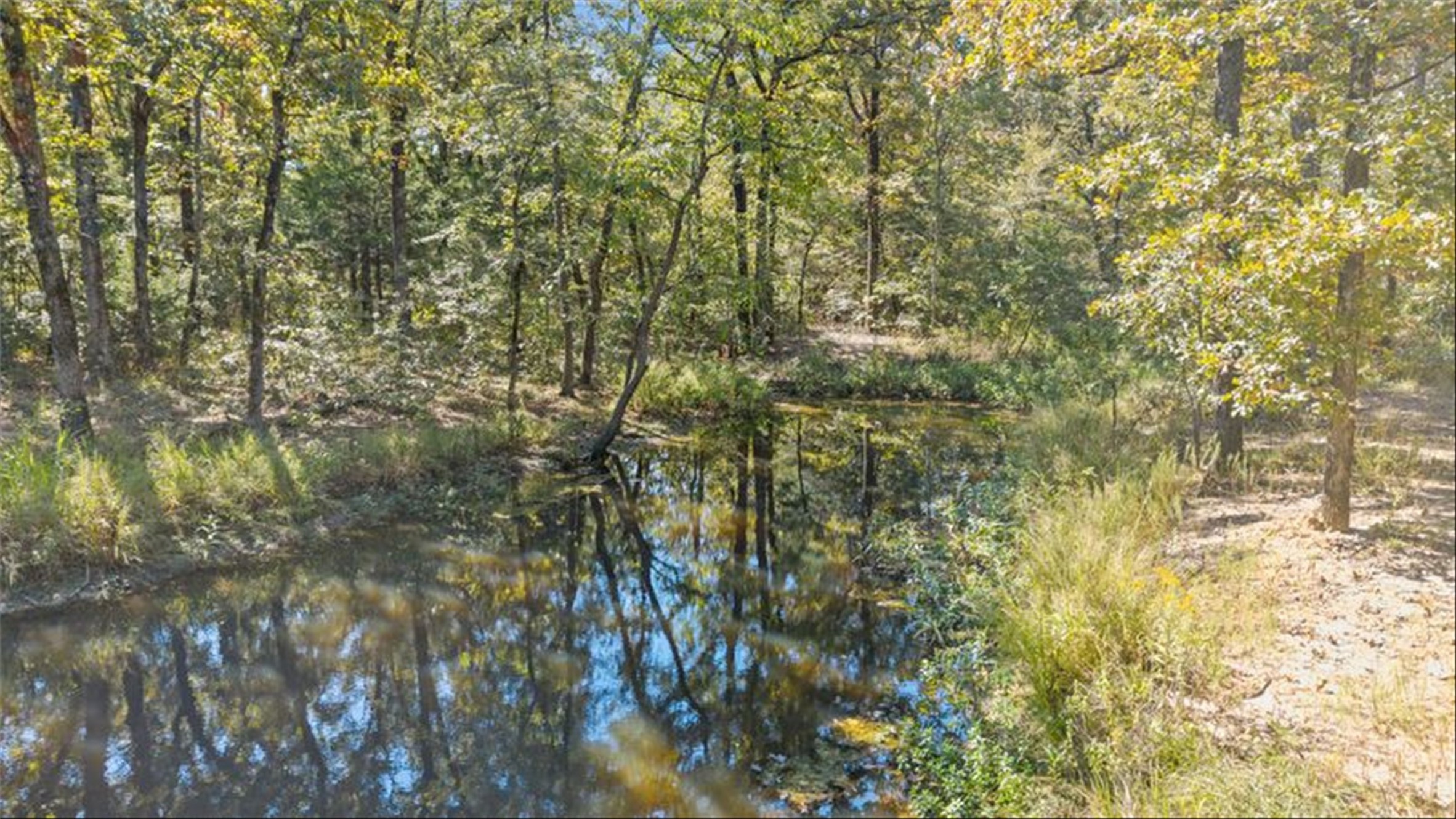 2022 Vz County Road 1514 Grand Saline TX 75140