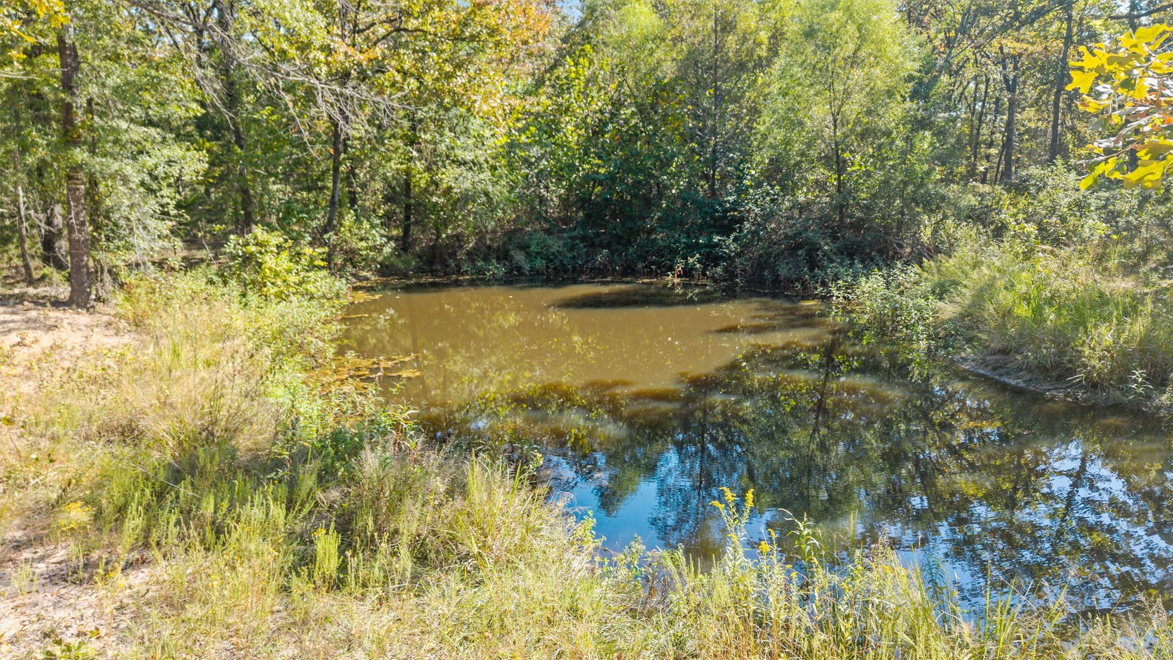 2022 Vz County Road 1514 Grand Saline TX 75140