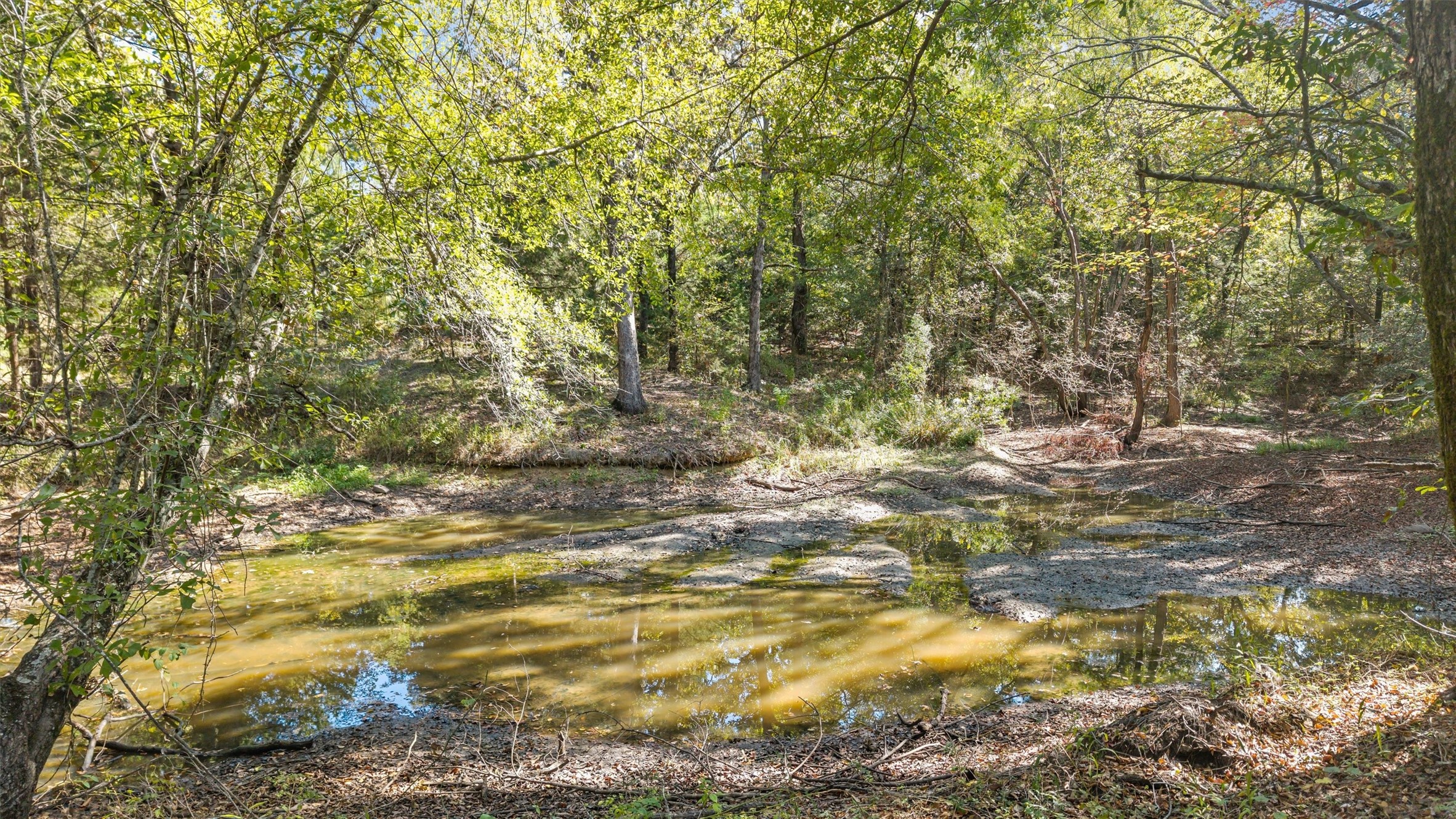 2022 Vz County Road 1514 Grand Saline TX 75140