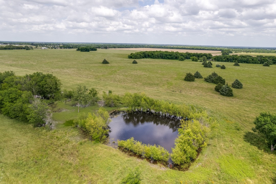 325 Fm 1566 W Wolfe City TX 75496