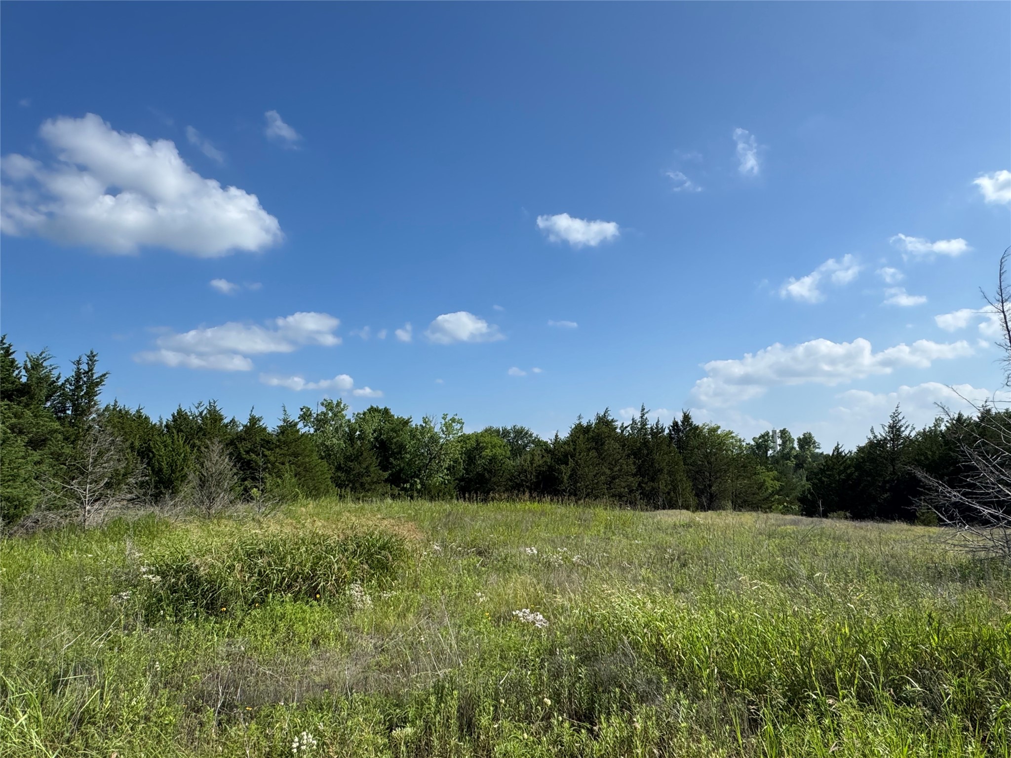 5909 Farm Road 38 S Brookston TX 75421