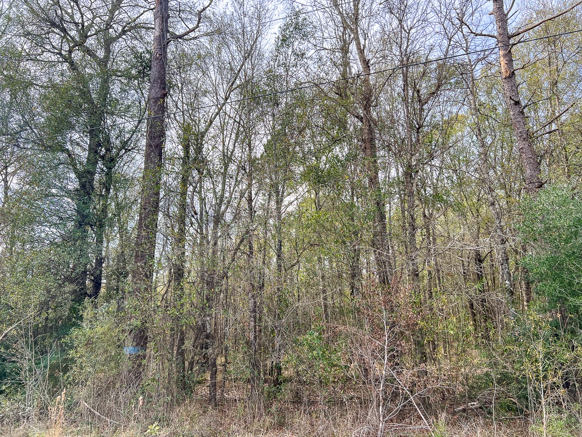 0 Highway 1131 Vidor TX 77662