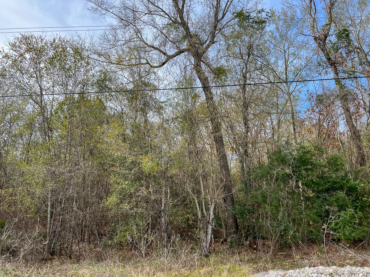 0 Highway 1131 Vidor TX 77662