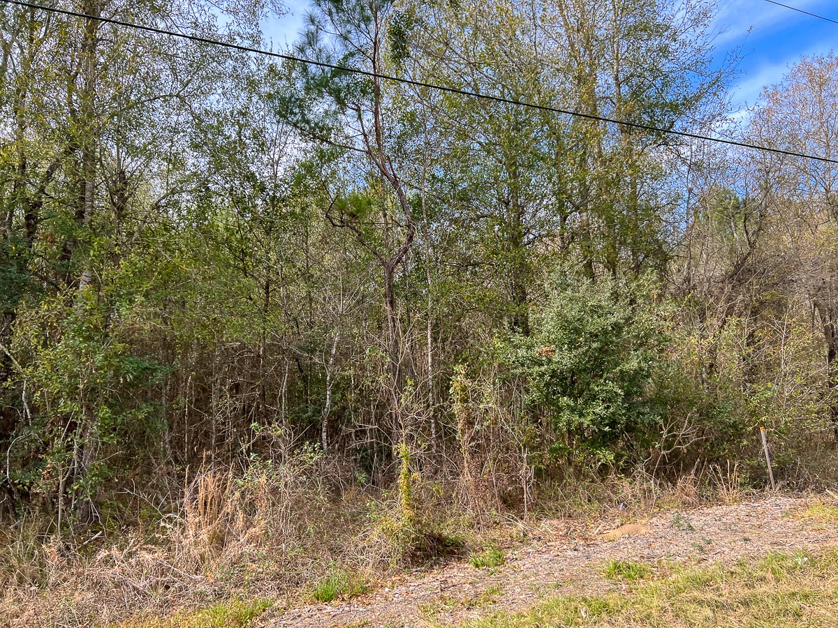 0 Highway 1131 Vidor TX 77662