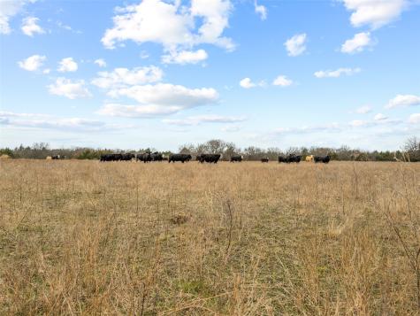 Tract 1 County Road 1255 Savoy TX 75479