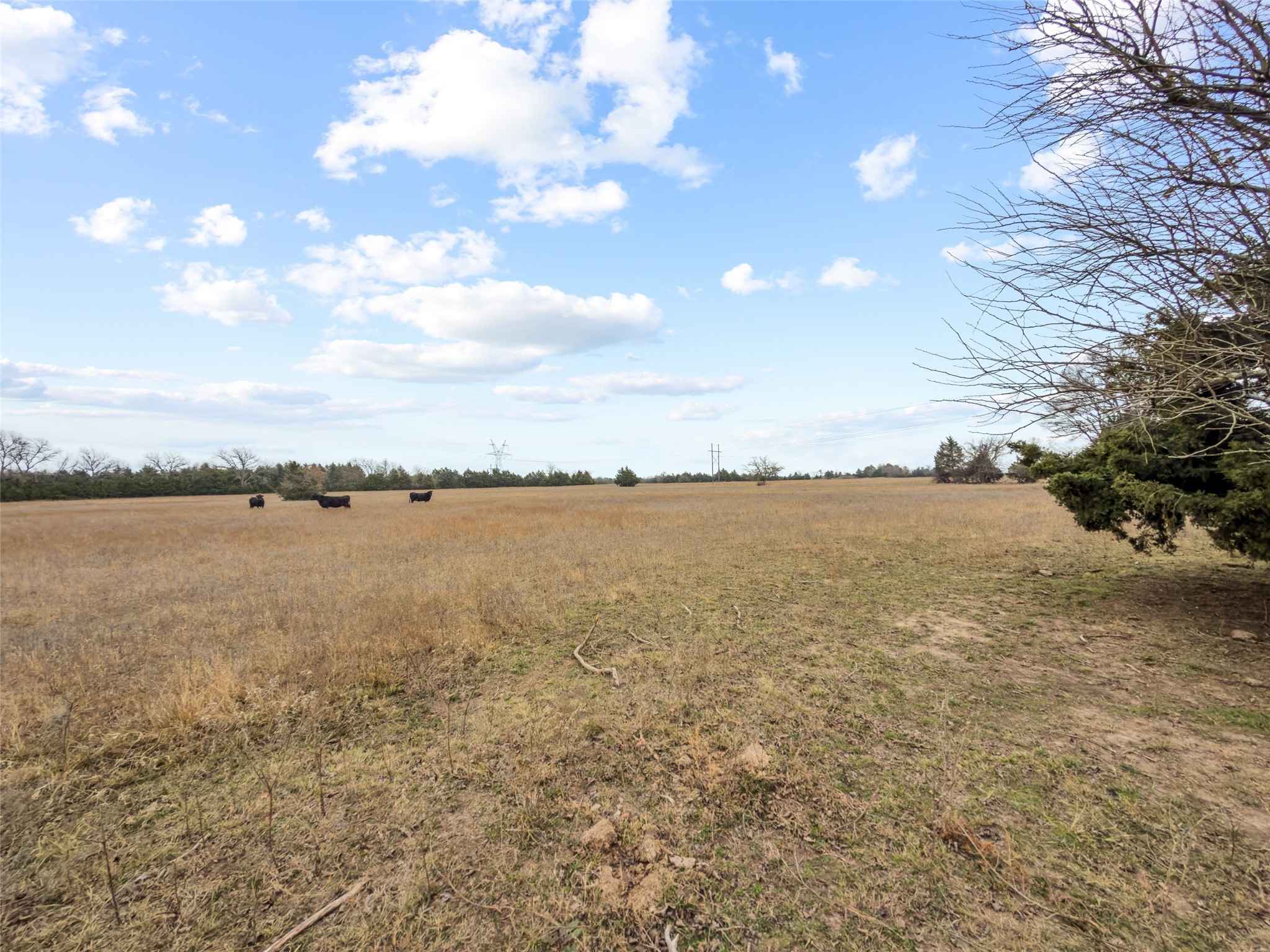 Tract 1 County Road 1255 Savoy TX 75479
