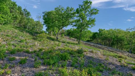 Lot 1a-2 Thompson Heights Drive Denison TX 75020
