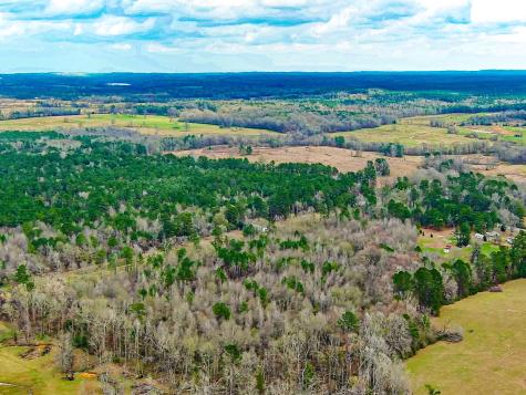 Apn 0006640 Highway 147 S San Augustine TX 75972