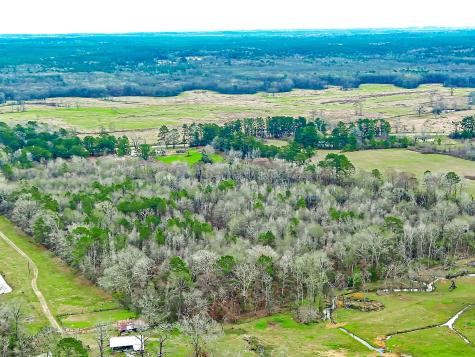 Apn 0006640 Highway 147 S San Augustine TX 75972