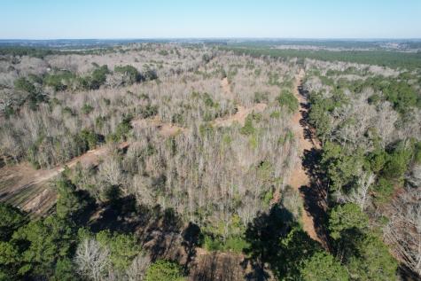 TBD County Road 4919 Timpson TX 75975