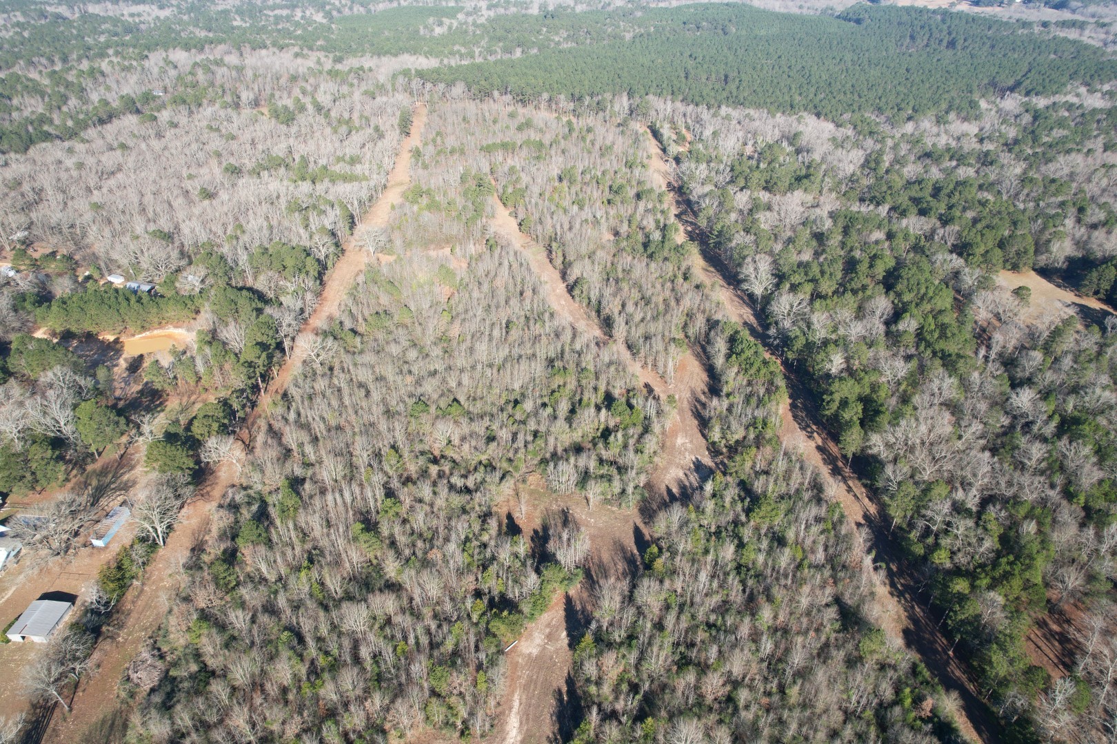 Tbd County Road 4919 Timpson TX 75975