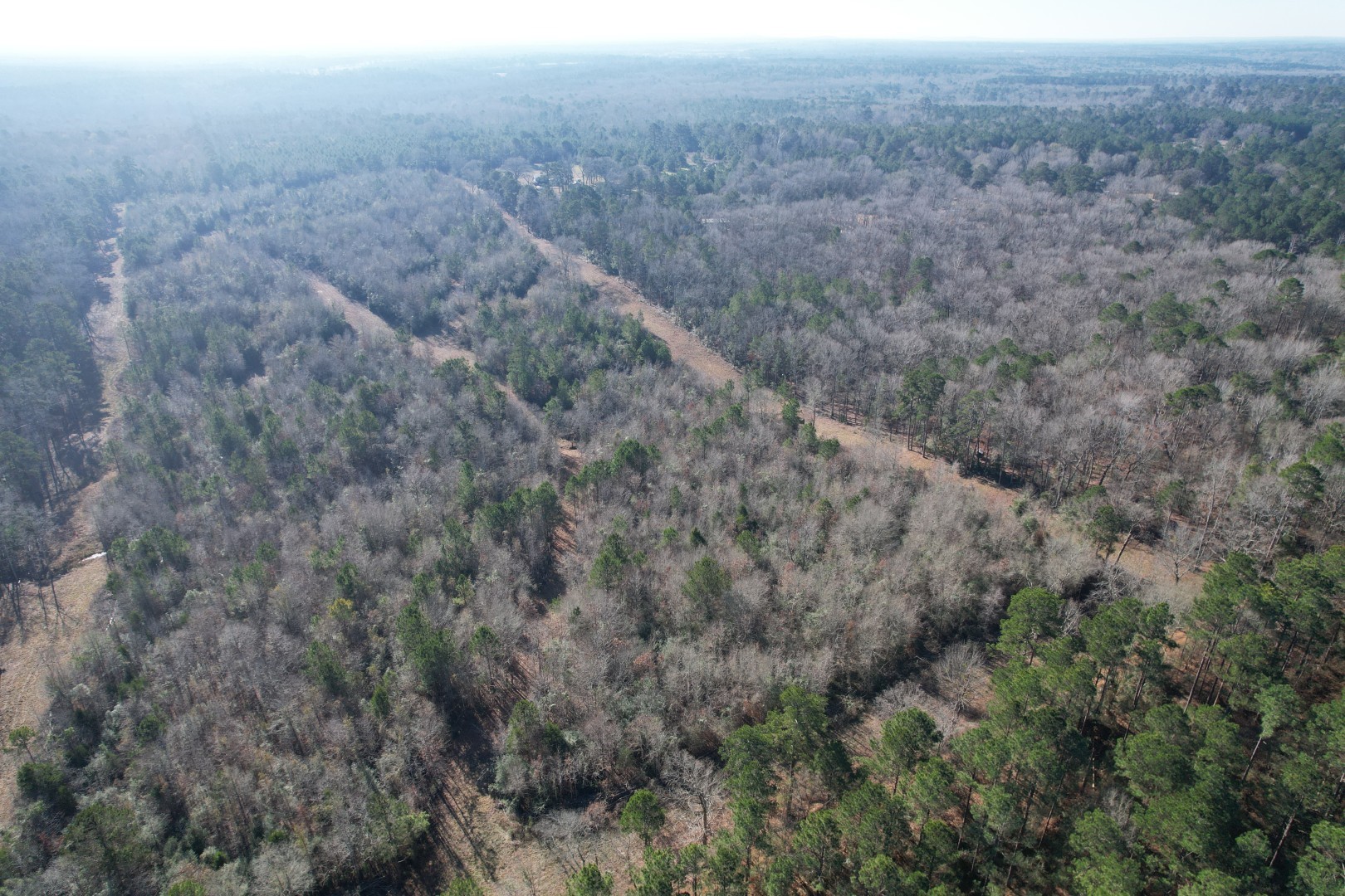 Tbd County Road 4919 Timpson TX 75975