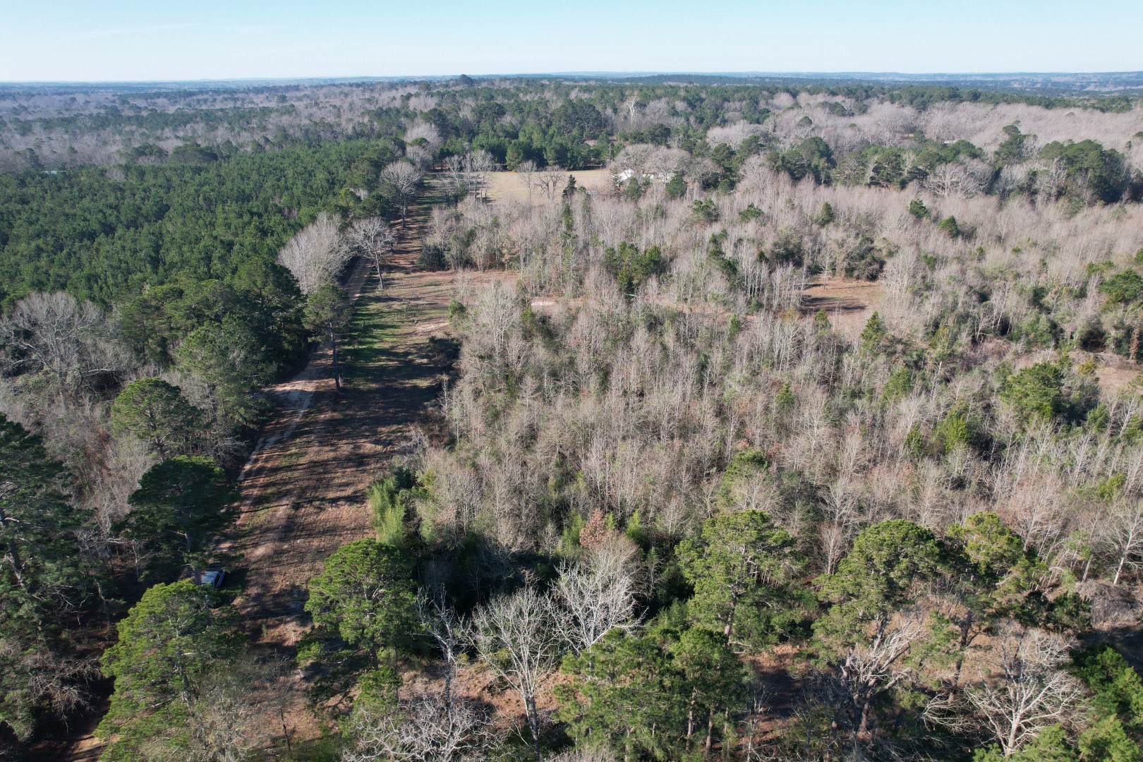 Tbd County Road 4919 Timpson TX 75975