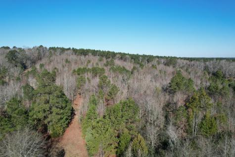 TBD County Road 4919 Timpson TX 75975