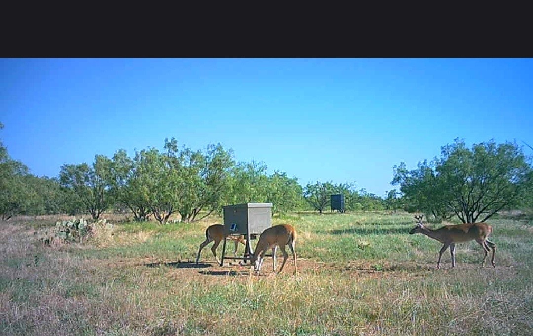 5860 County Road 423 Cisco TX 76437