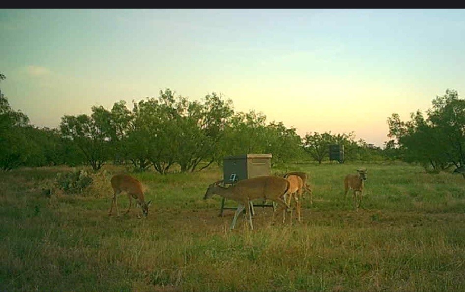 5860 County Road 423 Cisco TX 76437