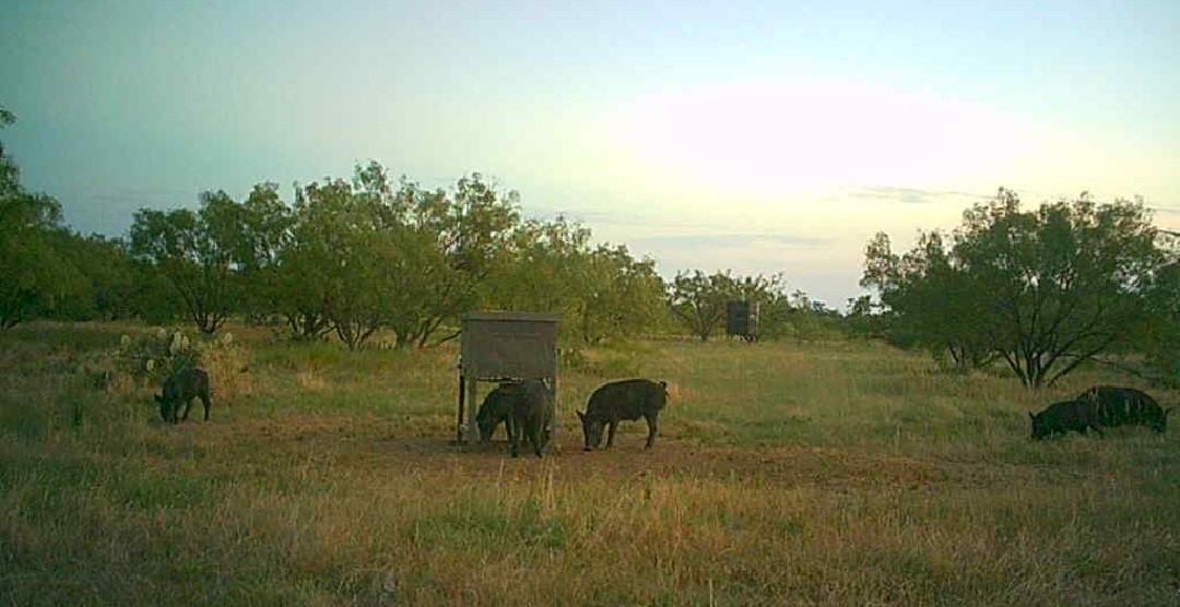 5860 County Road 423 Cisco TX 76437