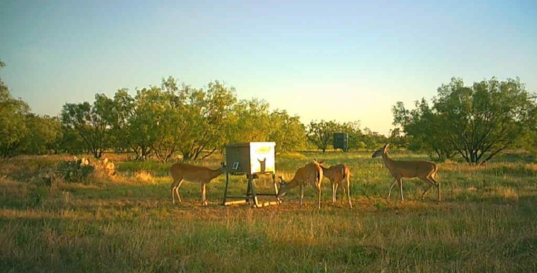 5860 County Road 423 Cisco TX 76437