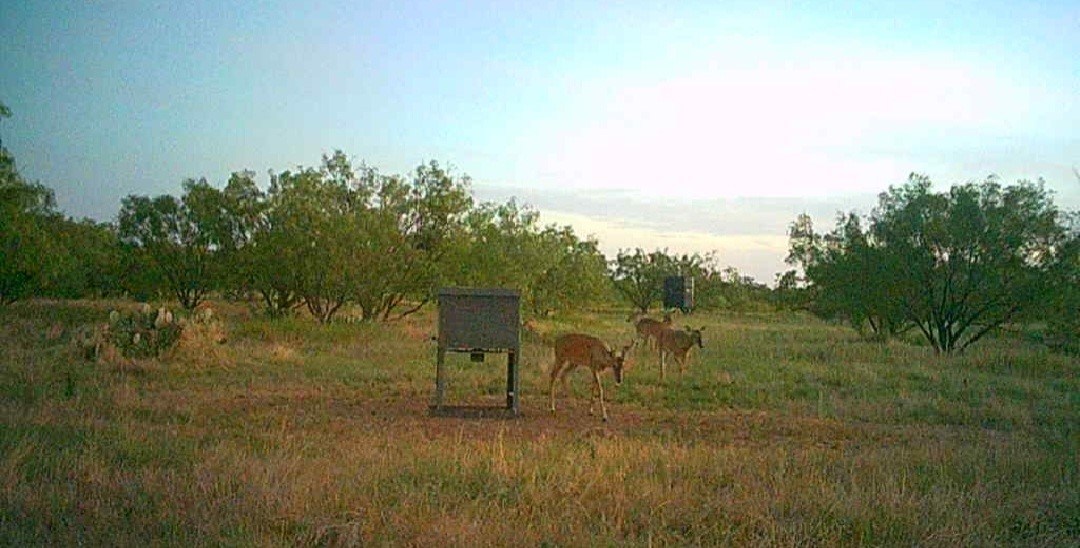 5860 County Road 423 Cisco TX 76437