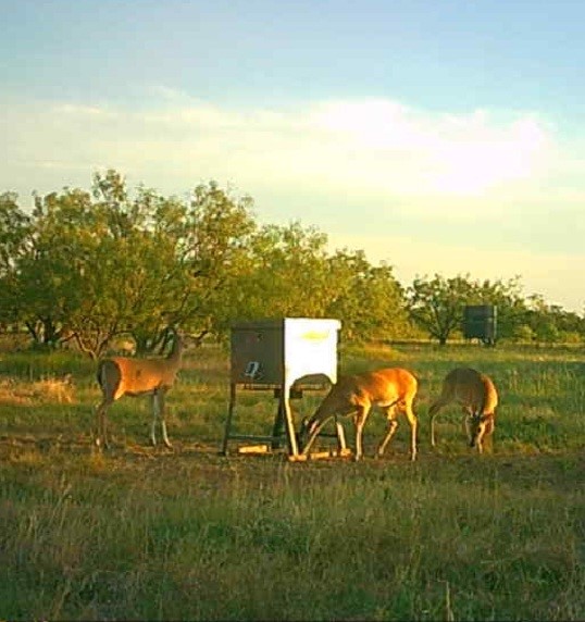 5860 County Road 423 Cisco TX 76437