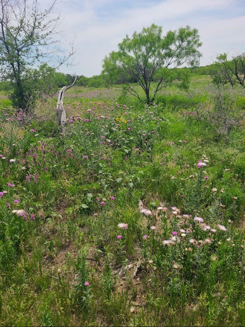 5860 County Road 423 Cisco TX 76437