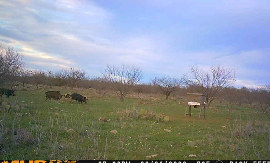 5860 County Road 423 Cisco TX 76437