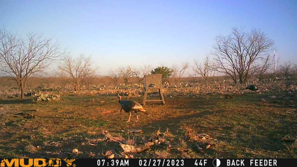 5860 County Road 423 Cisco TX 76437